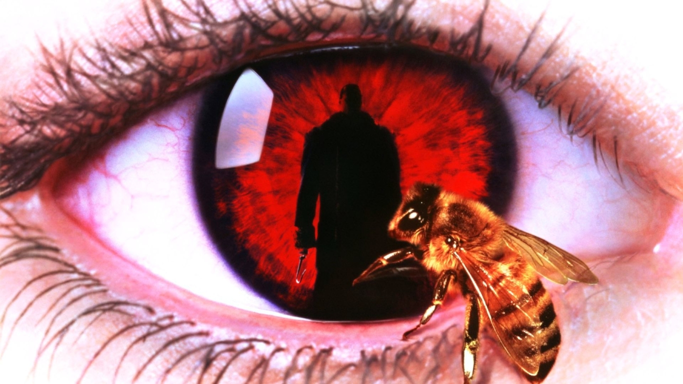 Candyman reflected inside a staring human eye, a bee resting on the lashes
